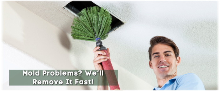Air Duct Mold Removal in Woodbridge NJ
