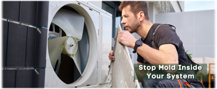 HVAC Mold Removal Woodbridge NJ